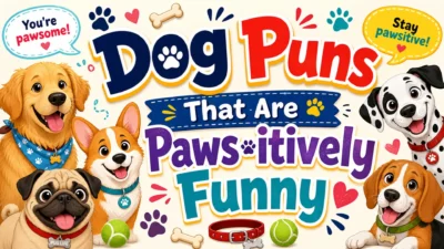 Dog puns image with cute cartoon dogs, paw prints, bones, and colorful playful text